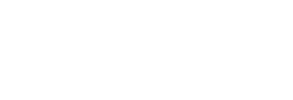 Logo SCHOCK® Teleskopschienen